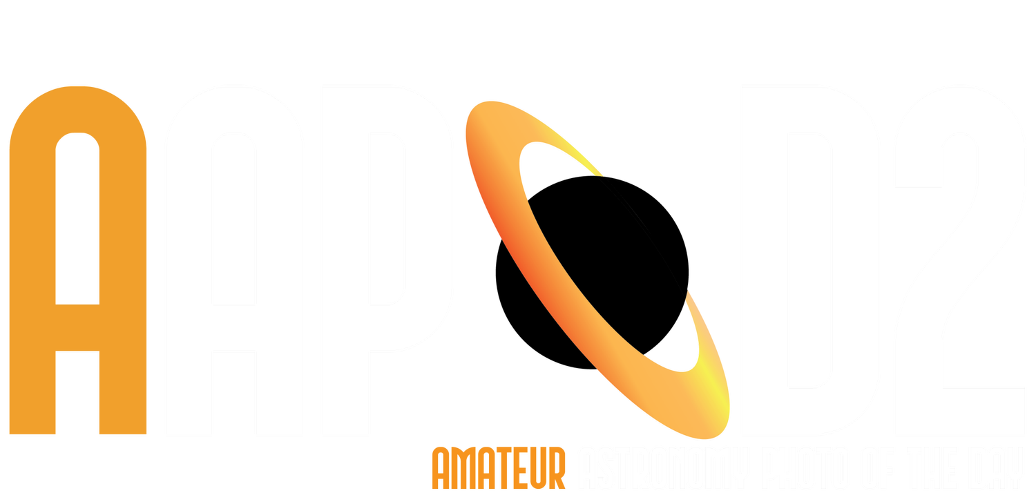 AAPOD2